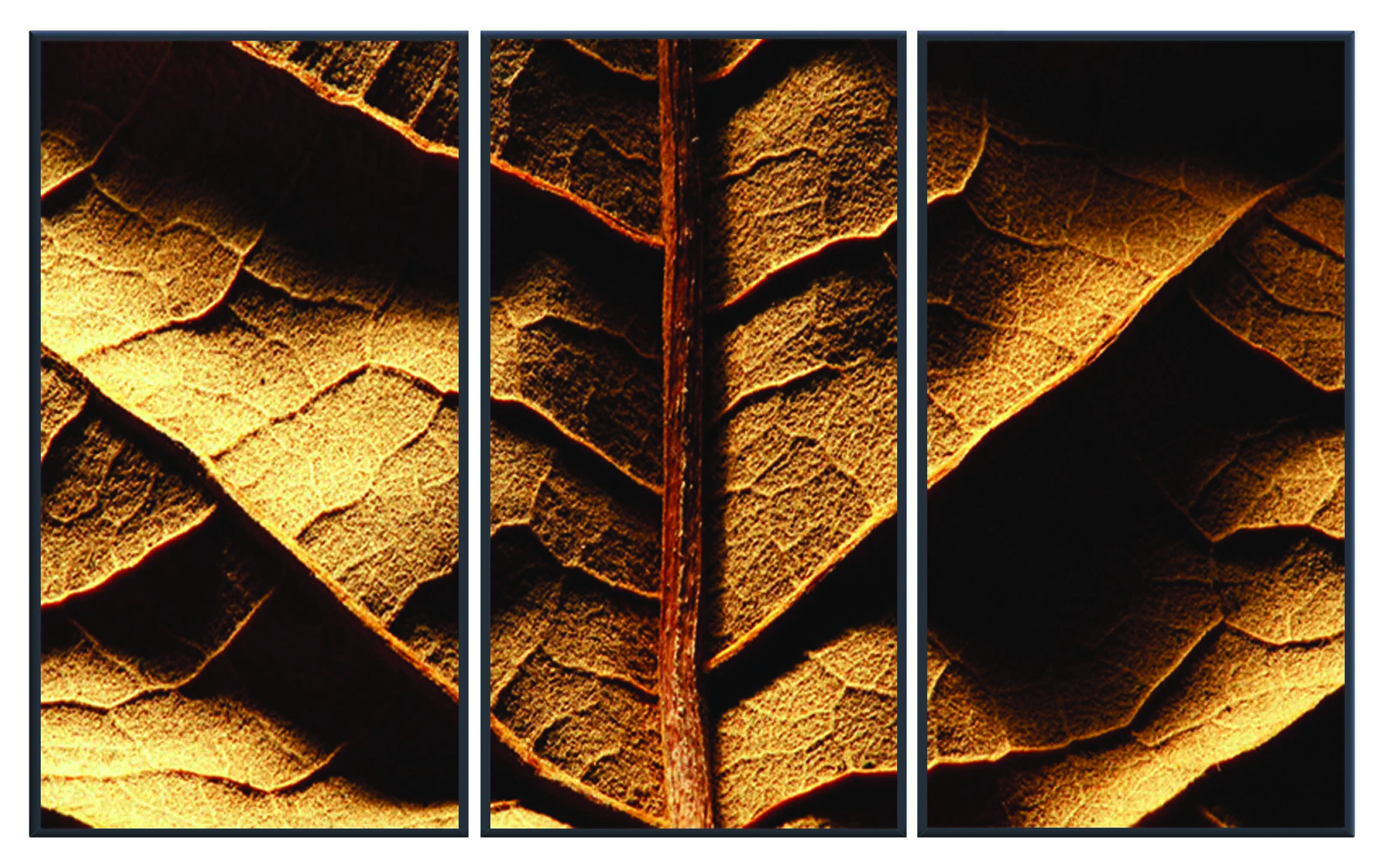 ASG259 Wall décor art printed on glass botanical set of 3